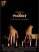 Piyanist full hd film izle