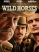 Vahşi Atlar – Wild Horses 2015 full hd film izle